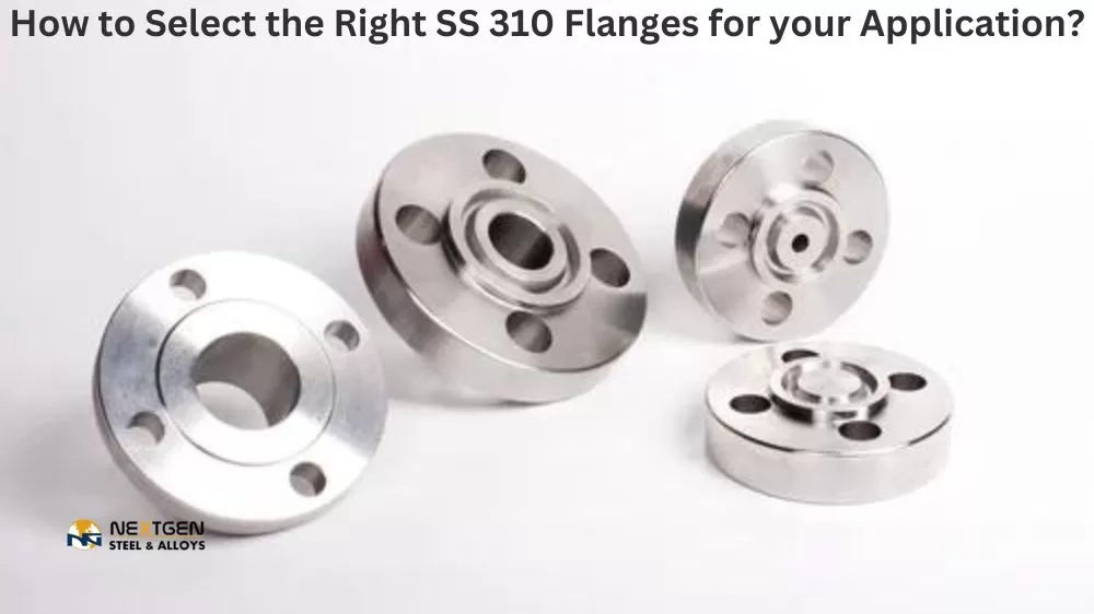 SS 310 Flanges